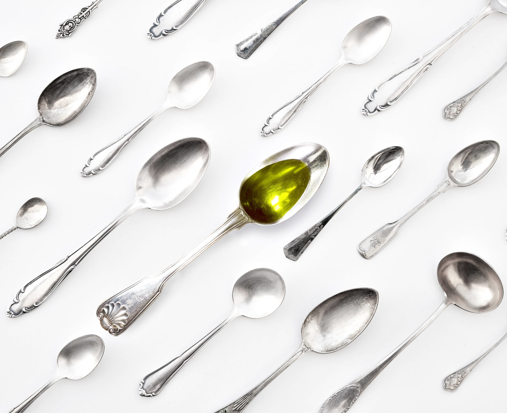 Olive oil tasting in Tuscany - Visit the olive groves and facilities
