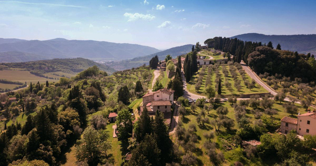 La gramolatura delle olive: il cuore della produzione dell'olio di oliva