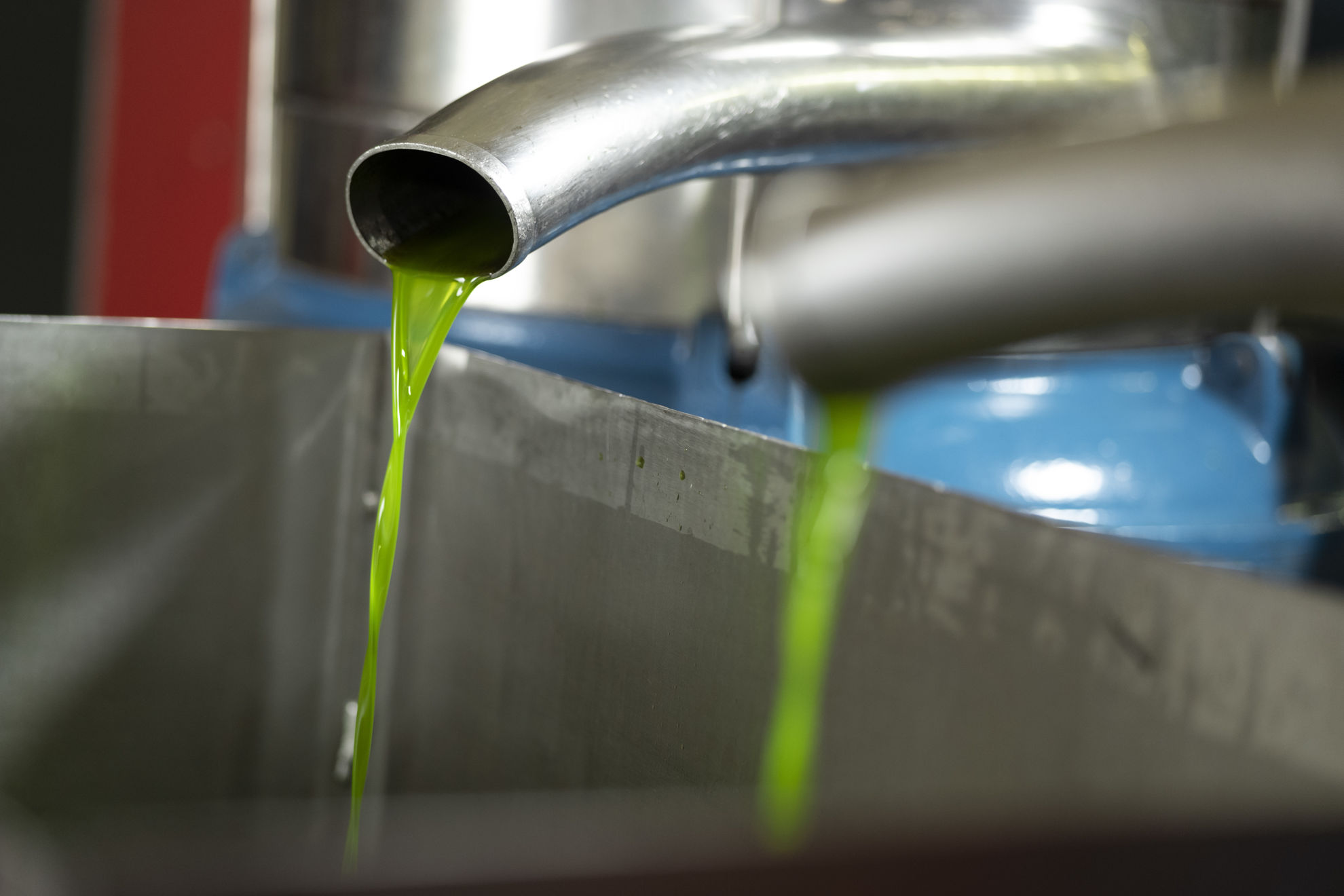 The Color of Olive Oil: Essential Guide